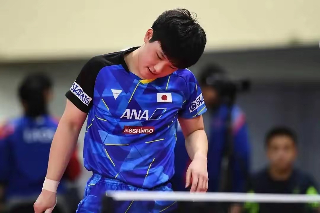 米兰体育下载-包含波兰乒乓球队力克德国乒乓球队，张本智和爆发神勇的词条