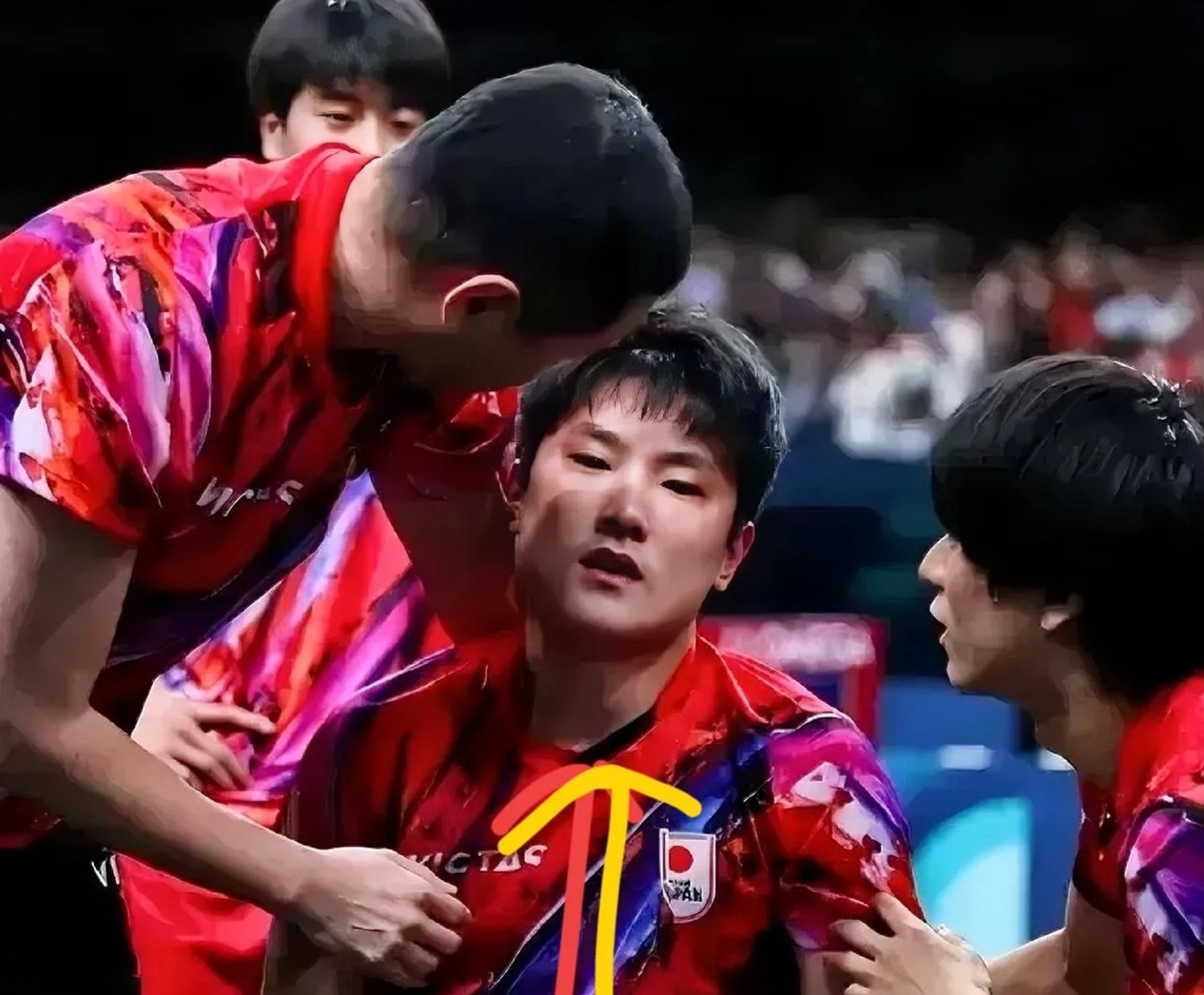 包含波兰乒乓球队力克德国乒乓球队,张本智和爆发神勇的词条 包含波兰乒乓球队力克德国乒乓球队,张本智和爆发神勇的词条